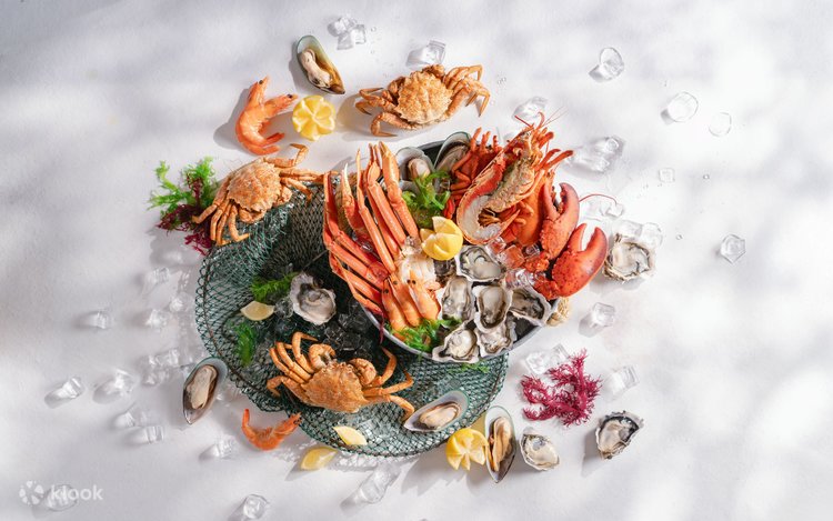 Bistro 555: Where Flavor, Style, and Hospitality Meet